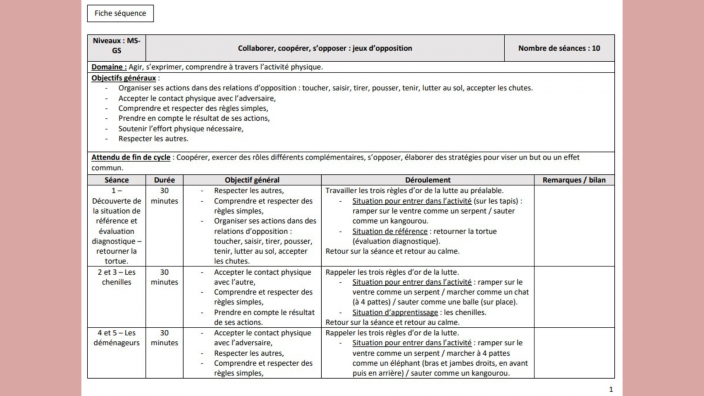 Exemple De Fiches De Préparation Pour Le Domaine 2 | Maîtresse Jéro